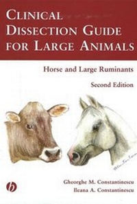 Abbildung von: Clinical Dissection Guide for Large Animals - Iowa State University Press