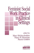 Cover: Feminist Social Work Practice in Clinical Settings - SAGE Publications Inc