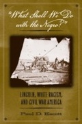 Cover: "What Shall We Do with the Negro?" - Naval Institute Press