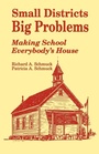 Cover: Small Districts, Big Problems - SAGE Publications Inc