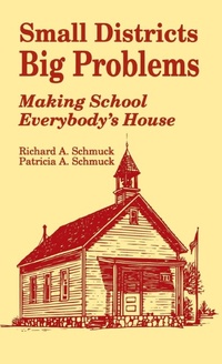 Enlarge image Cover: Small Districts, Big Problems - SAGE Publications Inc