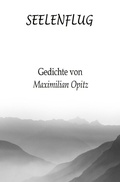 Cover: Seelenflug - epubli