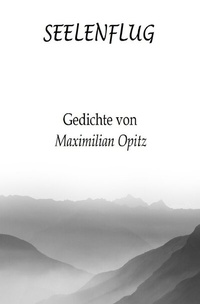 Enlarge image Cover: Seelenflug - epubli
