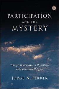 Enlarge image Cover: Participation and the Mystery - State University of New York Press