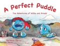 Cover: A Perfect Puddle - Brown Books Publishing Group