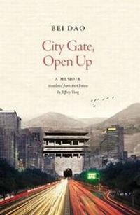 Abbildung von: City Gate, Open Up - Carcanet Press Ltd