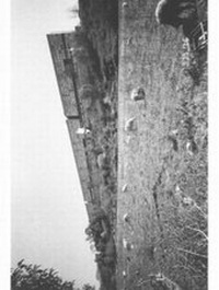 Enlarge image Cover: Ari Marcopoulos - Rome - Malibu - ROMA Publications