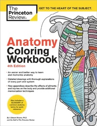 Enlarge image Cover: Anatomy Coloring Workbook, 4th Edition - Princeton Review Publishing Corporation