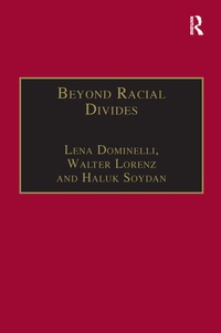Enlarge image Cover: Beyond Racial Divides - Routledge