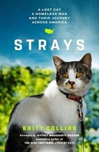 Enlarge image Cover: Strays - Atria Books