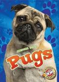 Cover: Pugs - Blastoff! Readers