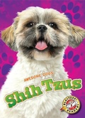 Cover: Shih Tzus - Blastoff! Readers
