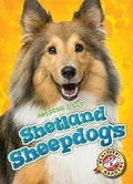 Cover: Shetland Sheepdogs - Blastoff! Readers