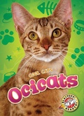Cover: Ocicats - Blastoff! Readers