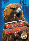 Cover: Golden Eagles - Blastoff! Readers