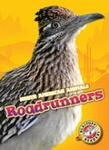 Cover: Roadrunners - Blastoff! Readers