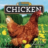 Enlarge image Cover: Chicken - Bearport Books