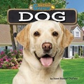 Cover: Dog - Bearport Books