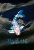 Cover: Thin Air of the Knowable - Brick Books