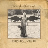 Enlarge image Cover: The Weight of These Wings - Sony Music Entertainment Germany GmbH / München