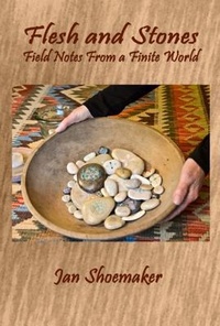 Enlarge image Cover: Flesh and Stones - Bottom Dog Press