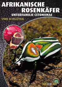 Abbildung von: Afrikanische Rosenkäfer - Natur und Tier
