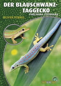 Abbildung von: Der Blauschwanz-Taggecko - Natur und Tier