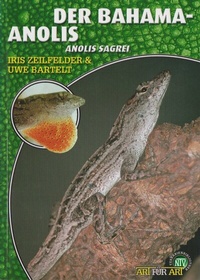 Abbildung von: Der Bahama-Anolis - Natur und Tier