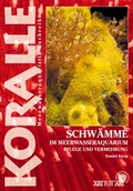Cover: Schw&auml;mme im Meerwasseraquarium - Natur und Tier