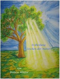 Enlarge image Cover: Erdheilung - Sternenzauber
