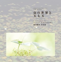 Abbildung von: Japanese Insects and Haiku - Onbeat Corporation