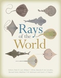 Cover: Rays of the World - CSIRO PUBLISHING