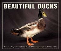 Abbildung von: Beautiful Ducks - Frances Lincoln