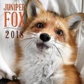 Cover: Juniper Fox 2018 - Rock Point