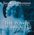 Cover: The Power of Miracles - Loyola University Press,U.S.