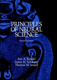Abbildung von: Principles of Neural Science, Fourth Edition - Appleton & Lange