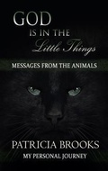 Cover: God is in the Little Things - Sacred Stories Publishing