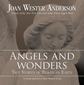 Cover: Angels and Wonders - Loyola University Press,U.S.