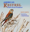 Cover: American Kestrel - Mountain Press Publishing Company