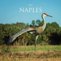 Enlarge image Cover: 2018 Naples - Fields Pub.