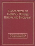 Cover: Iron and Steel in the Twentieth Century - Facts On File Inc