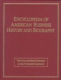 Abbildung von: Iron and Steel in the Twentieth Century - Facts On File Inc