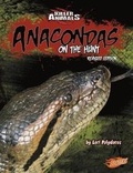 Cover: Killer Animals Anacondas on the Hunt - Capstone Press