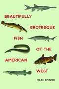 Cover: Beautifully Grotesque Fish of the American West - Bison Books