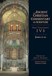 Enlarge image Cover: John 11-21 - INTERVARSITY PRESS