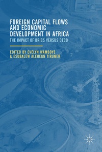 Bild vergrößern Bild: Foreign Capital Flows and Economic Development in Africa - Palgrave MacMillan