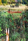Cover: The Adventures of Fudge Farm - epubli