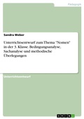 Cover: Unterrichtsentwurf zum Thema "Nomen" in der 3. Klasse. Bedingungsanalyse, Sachanalyse und methodische &Uuml;berlegungen - GRIN Verlag