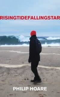 Enlarge image Cover: RISINGTIDEFALLINGSTAR - Fourth Estate Ltd
