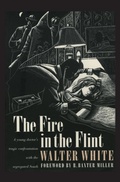 Cover: The Fire in the Flint - University of Georgia Press